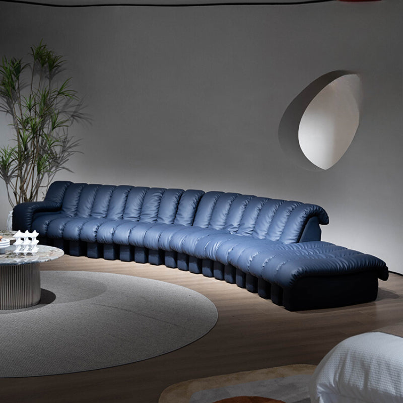 Italian Light Luxury Leather Snake Sofa DS600 Curved Sofa Villa Large Flat Layer Designer Module Combination