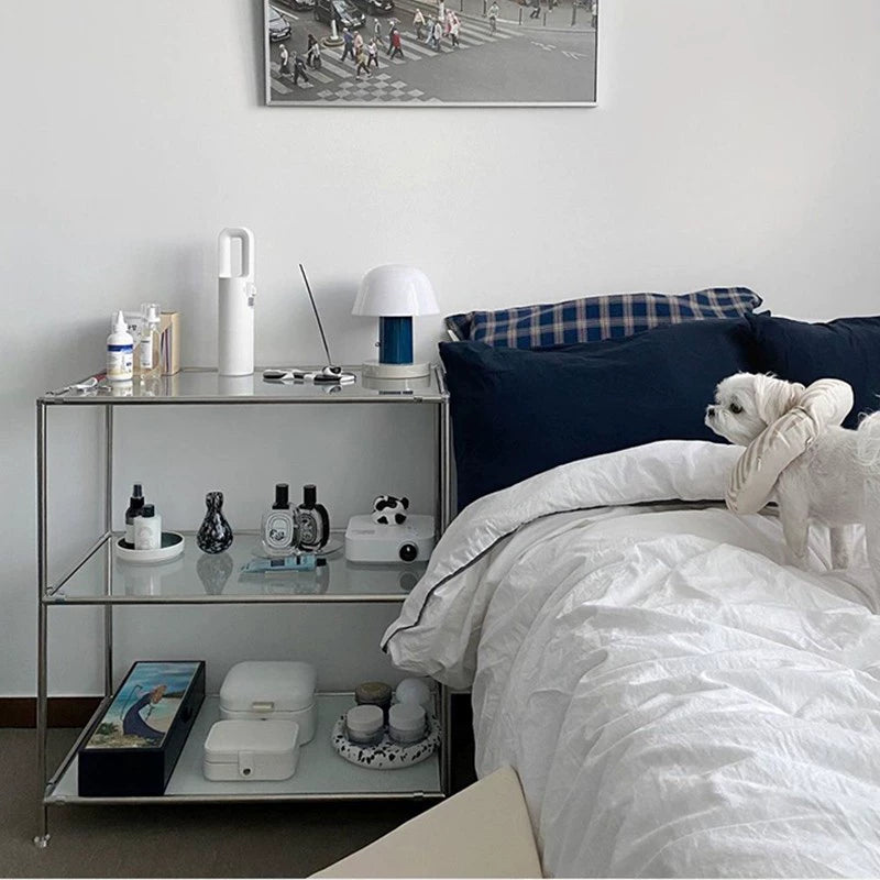 Koreanische Ins Windschutzscheibe Regal Blogger Haushalt Einfache Edelstahl Display Regal Bücherregal Display 