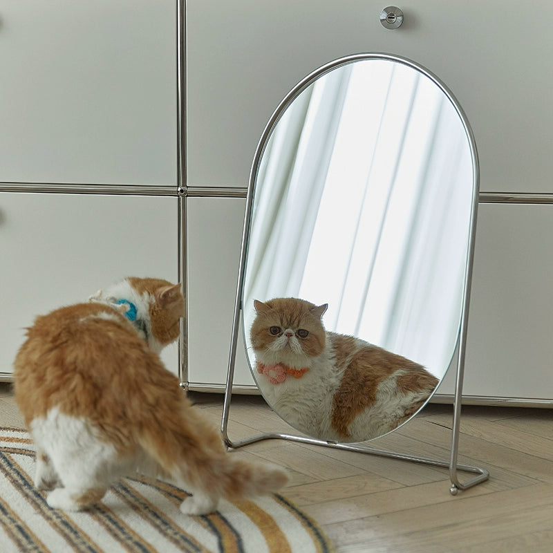 Mittelalterlicher Schminkspiegel, vertikaler Kommodenspiegel, Ins Wind Schmiedeeisen Schlafzimmerspiegel, Licht Luxus, künstlerischer Sinn 