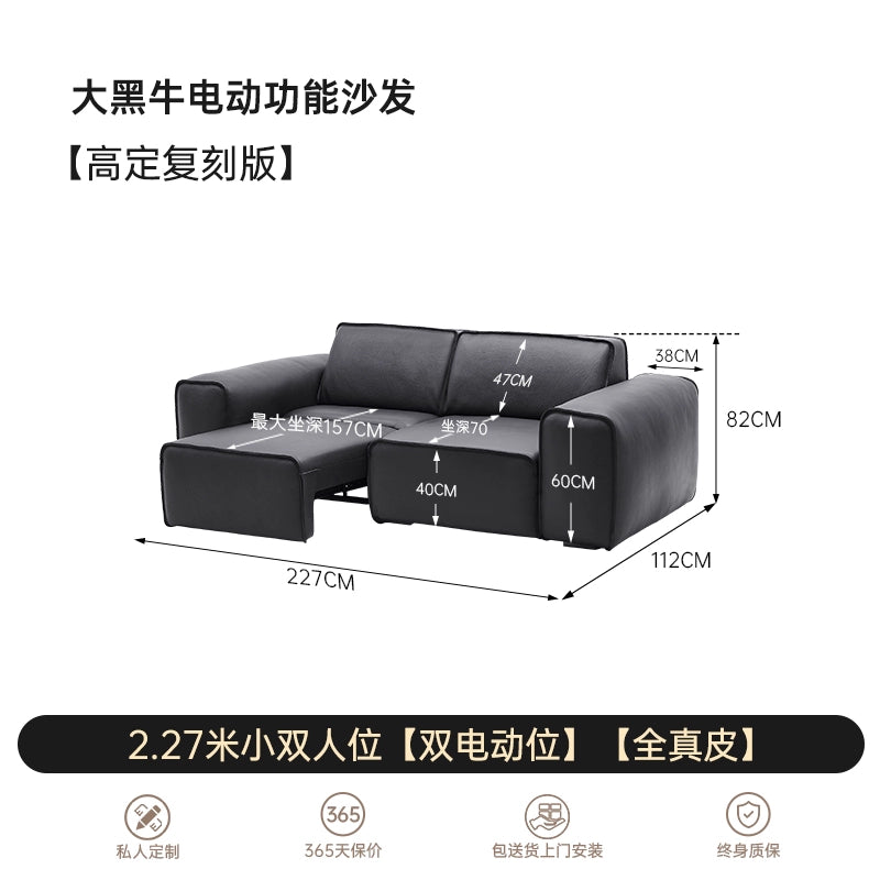 Italian Minimalist Summer Map Big Black Cow Function Sofa Electric Push Bed Living Room Straight Row First Layer Cowhide Telescopic Sofa Bed