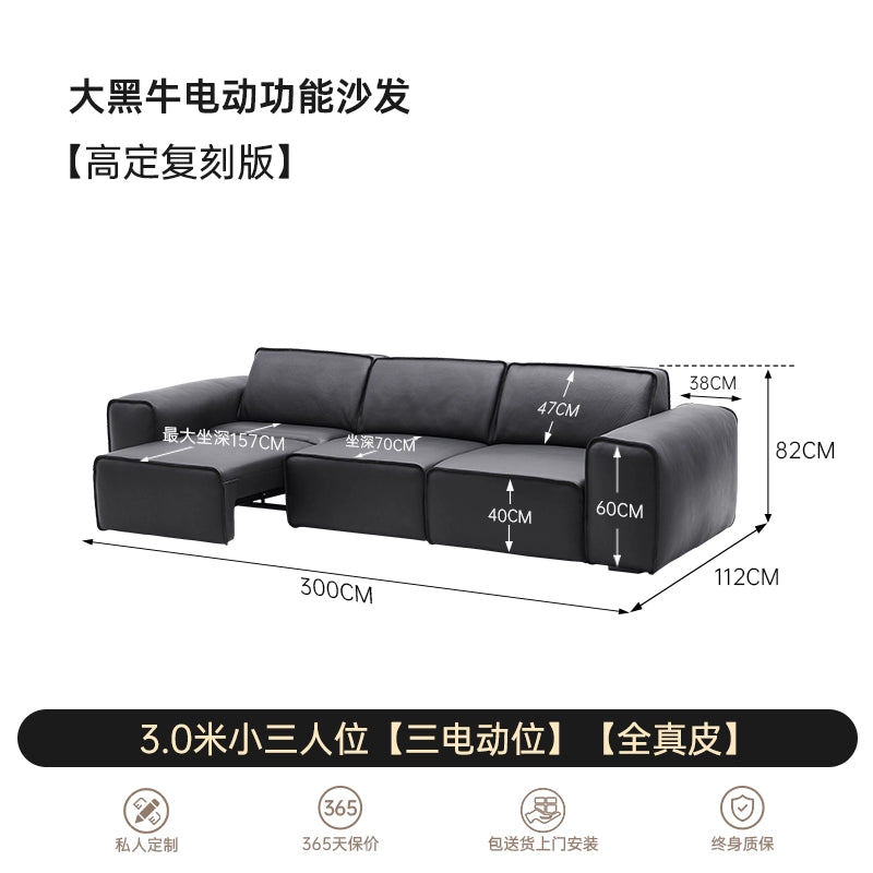 Italian Minimalist Summer Map Big Black Cow Function Sofa Electric Push Bed Living Room Straight Row First Layer Cowhide Telescopic Sofa Bed